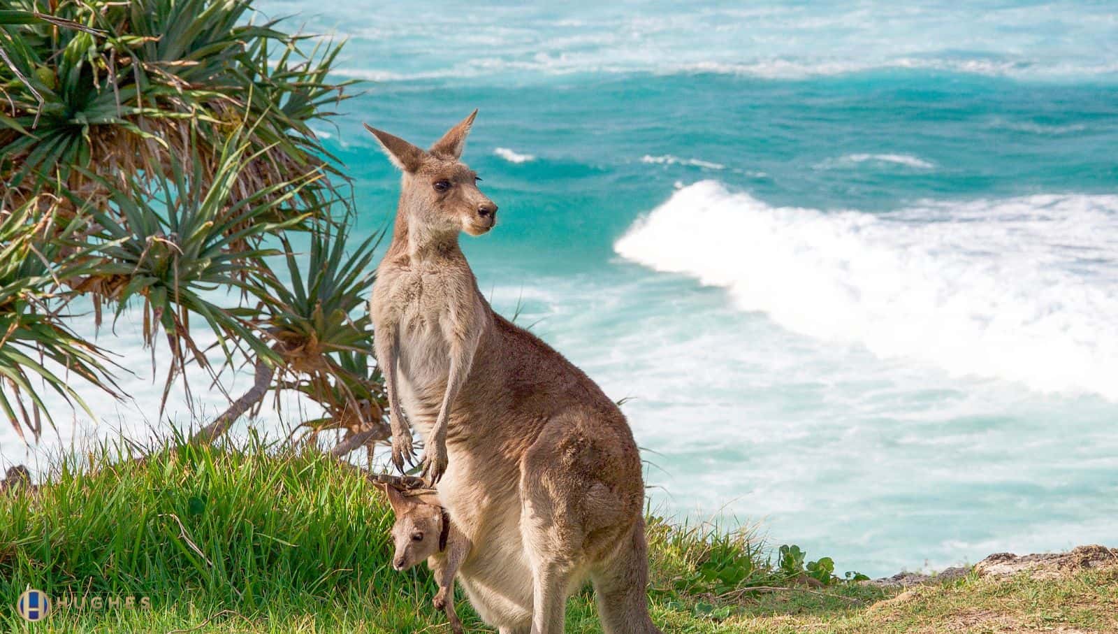 Going to Stradbroke Island? Time for a Chauffeur